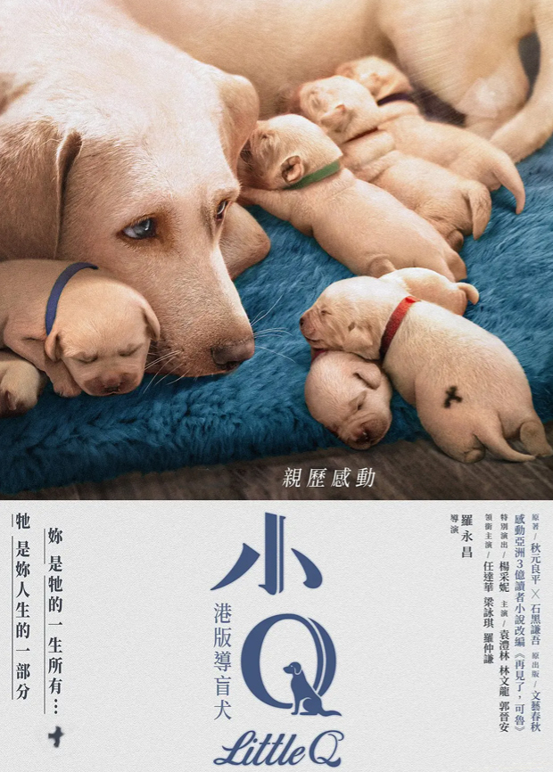 当女人爱上男人