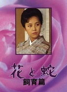 一区二区三区免费